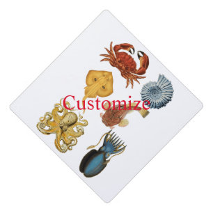 Unique Sea Beings Assortment Thunder_Cove  Graduation Cap Topper