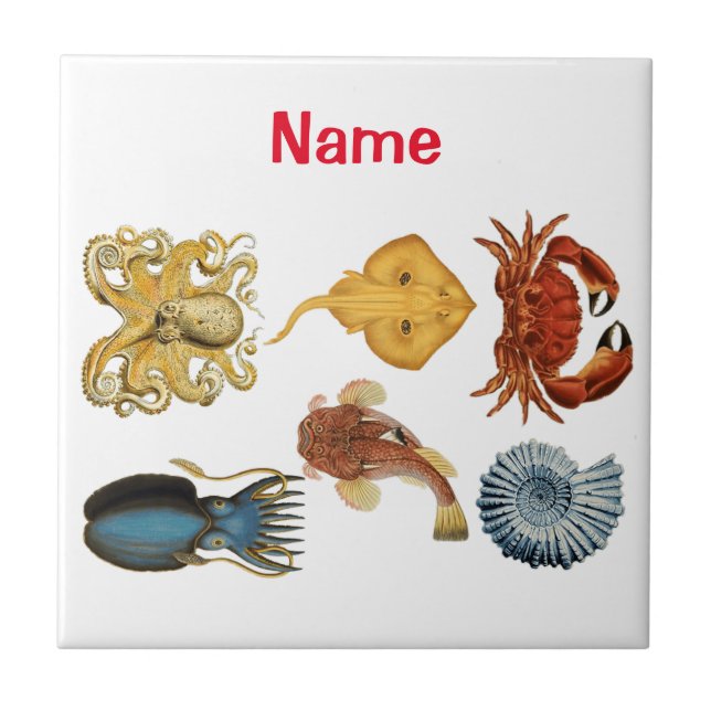 Unique Sea Beings Assortment Thunder_Cove  Tile (Front)