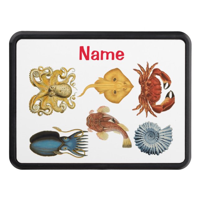 Unique Sea Beings Assortment Thunder_Cove  Trailer Hitch Cover (Front)