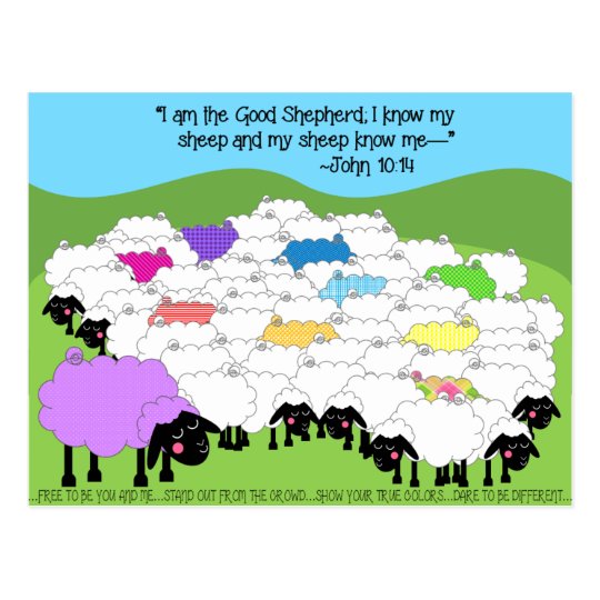 Unique Sheep Good Shepherd Inspirational Postcard