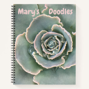 Unique Succulent Sketchbook Notebook