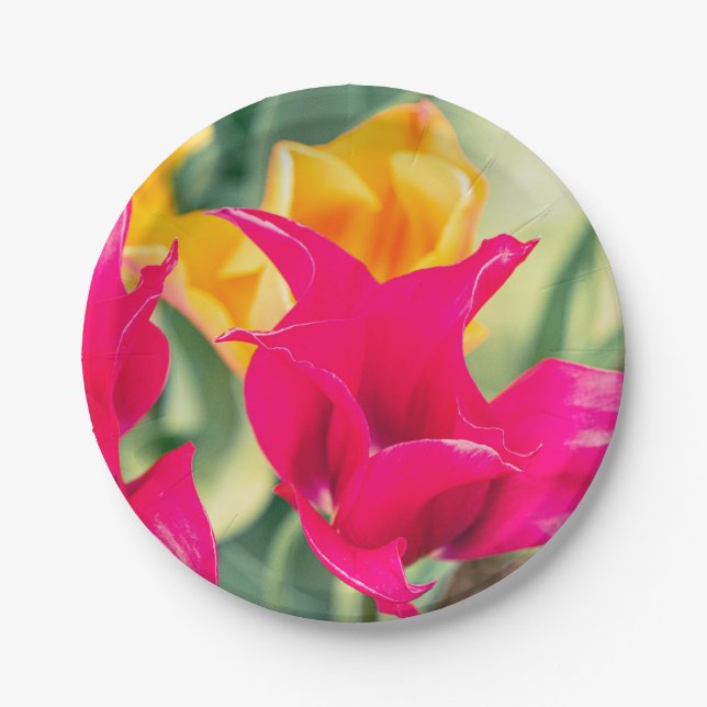 unique tulip plates (Front)