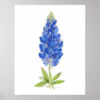 Unique Watercolor Texas Bluebonnet Art