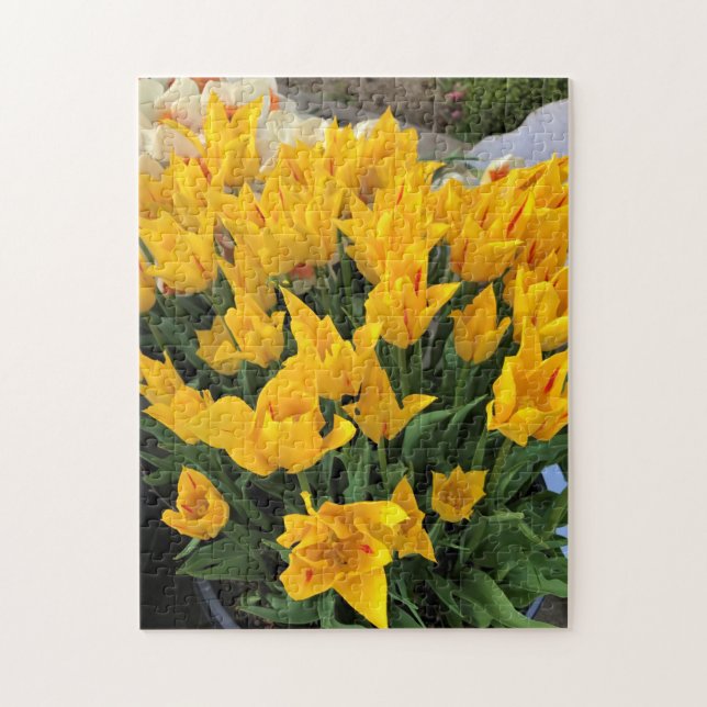 Unique Yellow Tulips Jigsaw Puzzle (Vertical)