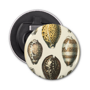 Uniquely Shaped Seashells Bottle Opener