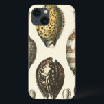 Uniquely Shaped Seashells iPhone 13 Case<br><div class="desc">Lay out on the warm sand and find the hidden treasures! This painting by Kobeit,  he captures the beautiful water life found ashore. Kobeit captures the a beautiful array of sepia toned seashells in a vintage tone. Get your beautiful ocean art today on your next Zazzle product.</div>