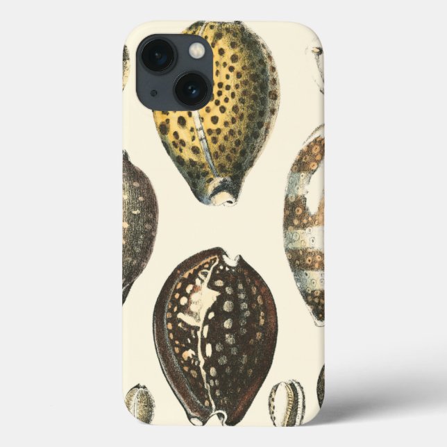 Uniquely Shaped Seashells Case-Mate iPhone Case (Back)