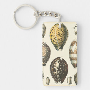 Uniquely Shaped Seashells Keychain