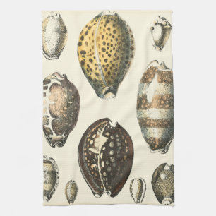 Uniquely Shaped Seashells Kitchen Towel