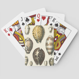 Uniquely Shaped Seashells Playing Cards
