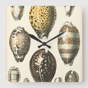 Uniquely Shaped Seashells Square Wall Clock