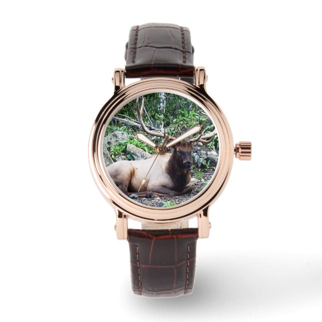 Unisex Elk watch (Front)