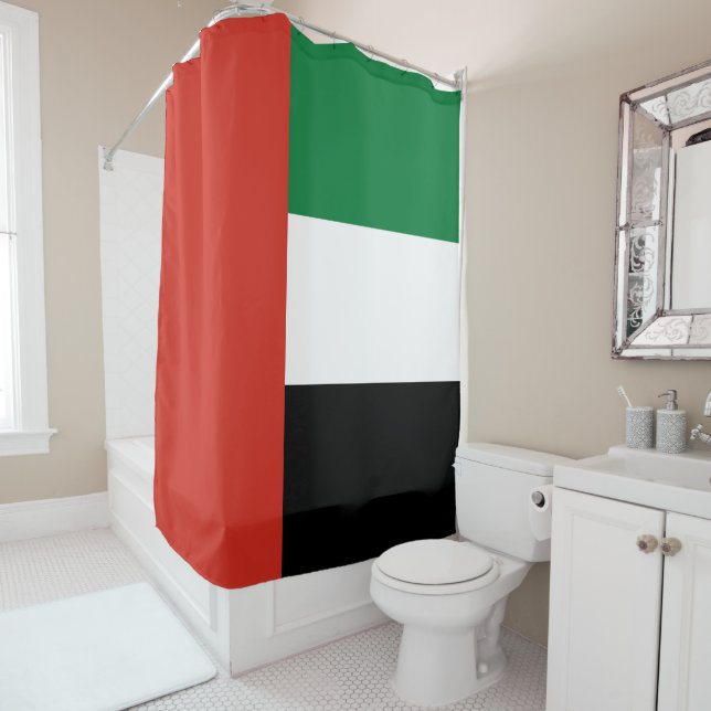 United Arab Emirates flag (In Situ)