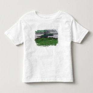 United Kingdom, Scotland, Isle of Skye, old Toddler T-shirt