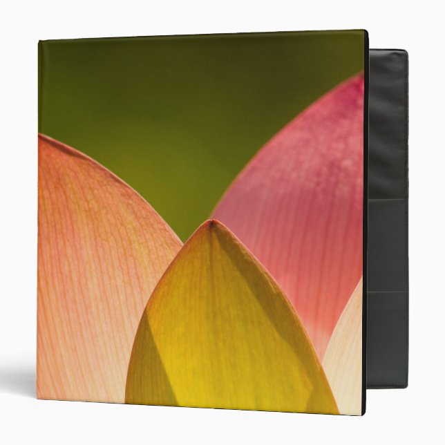 United States, DC, Washington, Kenilworth 3 Binder (Front/Inside)