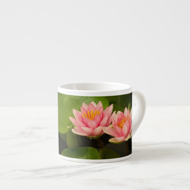 United States, DC, Washington, Kenilworth 4 Espresso Cup (Front Right)