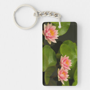United States, DC, Washington, Kenilworth 4 Keychain