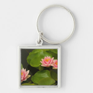 United States, DC, Washington, Kenilworth 4 Keychain