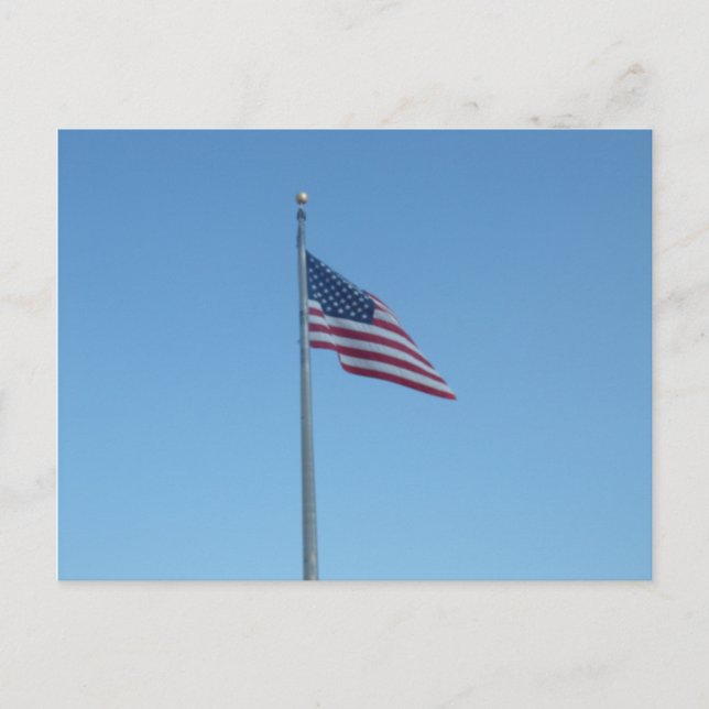 United States flag Postcard (Front)