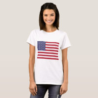 United States Flag