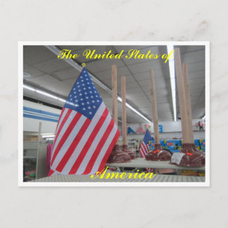 United States flags n' plungers postcard