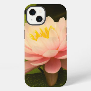 United States, Maryland, Westminster, Union 2 iPhone 13 Case