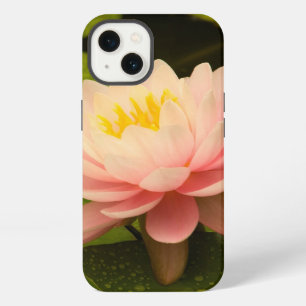 United States, Maryland, Westminster, Union 2 iPhone 13 Case