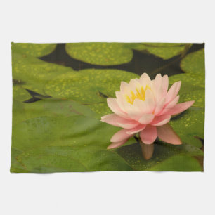 United States, Maryland, Westminster, Union 2 Kitchen Towel