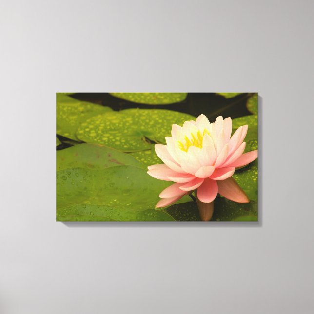 United States, Maryland, Westminster, Union Canvas Print (Front)