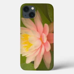 United States, Maryland, Westminster, Union iPhone 13 Case