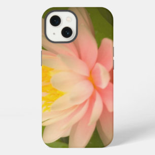 United States, Maryland, Westminster, Union iPhone 13 Case