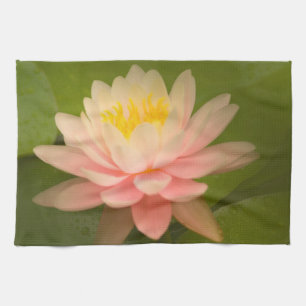 United States, Maryland, Westminster, Union Kitchen Towel