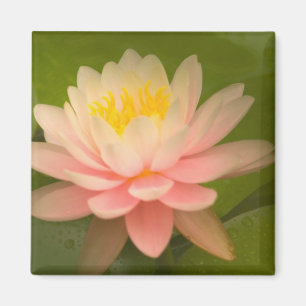 United States, Maryland, Westminster, Union Magnet