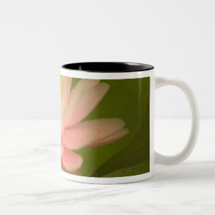 United States, Maryland, Westminster, Union Two-Tone Coffee Mug