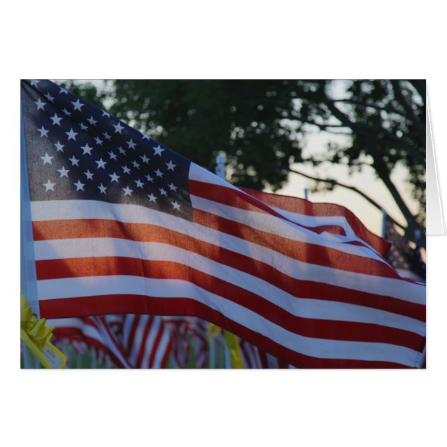 United States Memorial Day Flags, Cemetery (Front Horizontal)