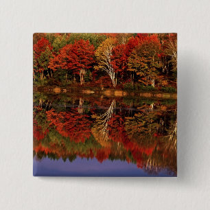 United States, Michigan, Upper Peninsula. Fall 2 Inch Square Button