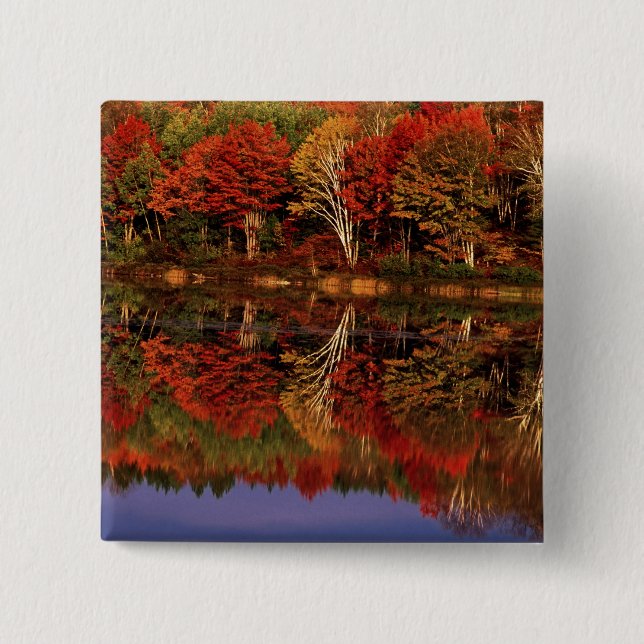 United States, Michigan, Upper Peninsula. Fall 2 Inch Square Button (Front)