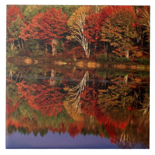 United States, Michigan, Upper Peninsula. Fall Tile