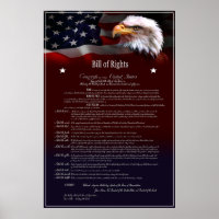 United States of America BILL of Rights