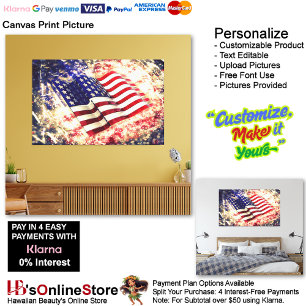 United States of America Flag Canvas Print Picture