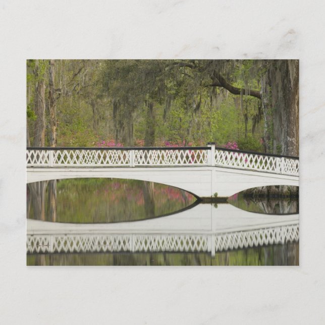 United States; South Carolina; Charleston; 3 Postcard (Front)