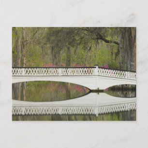 United States; South Carolina; Charleston; 3 Postcard