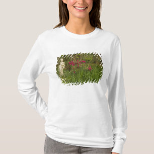 United States; South Carolina; Charleston; 4 T-Shirt