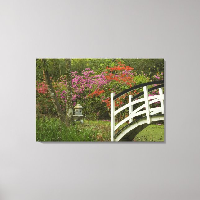 United States; South Carolina; Charleston; 5 Canvas Print (Front)