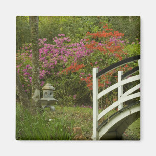 United States; South Carolina; Charleston; 5 Magnet