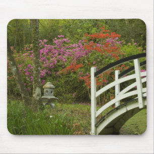 United States; South Carolina; Charleston; 5 Mouse Pad