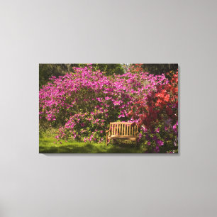 United States; South Carolina; Charleston; Canvas Print