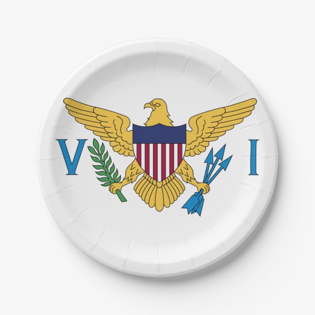 United States Virgin Islands Flag Paper Plate (Front)