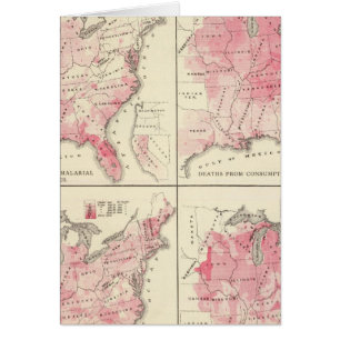 United States vitality maps