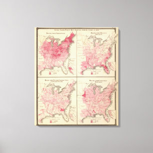 United States vitality maps Canvas Print